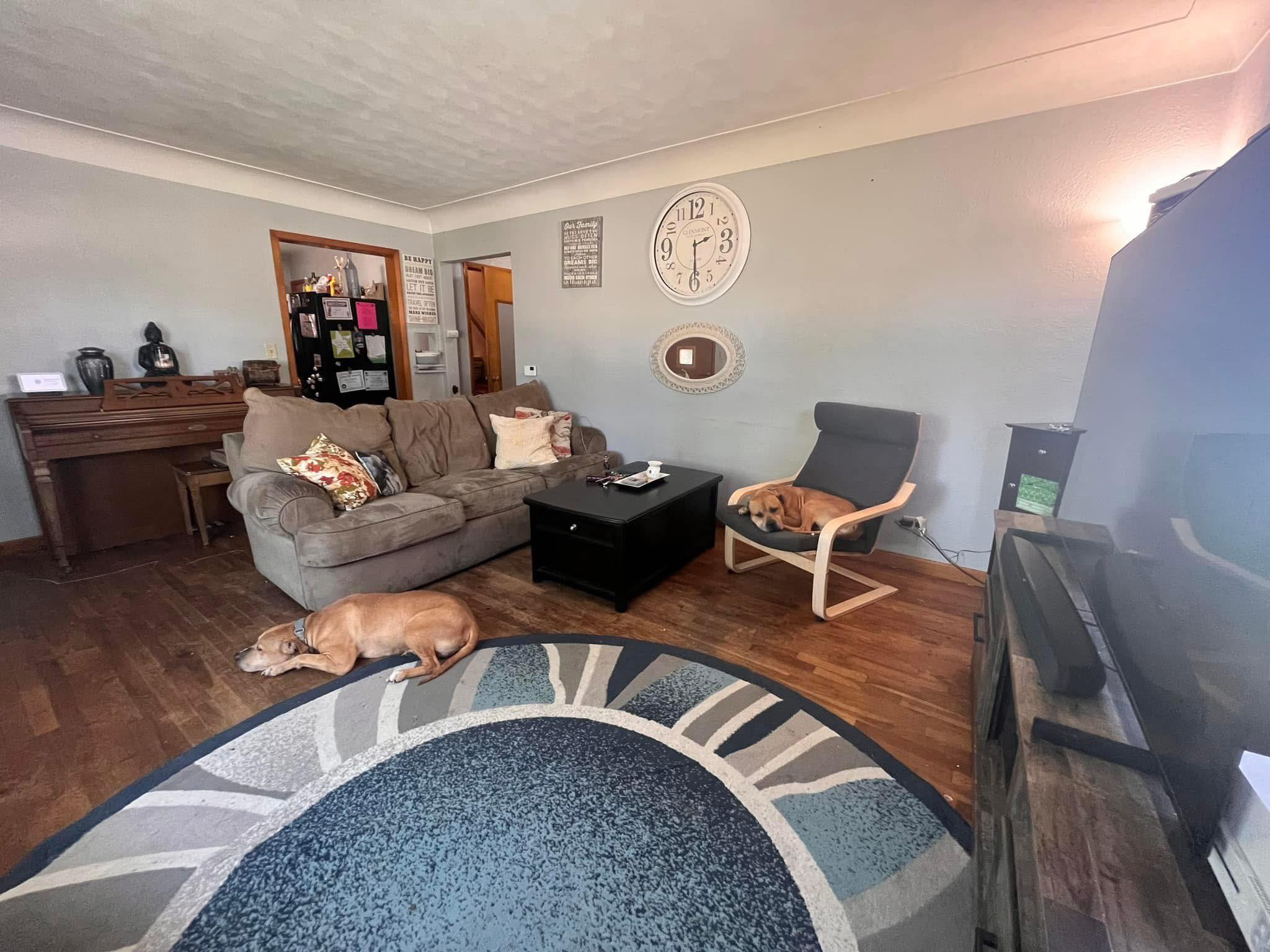 Clean Living Room